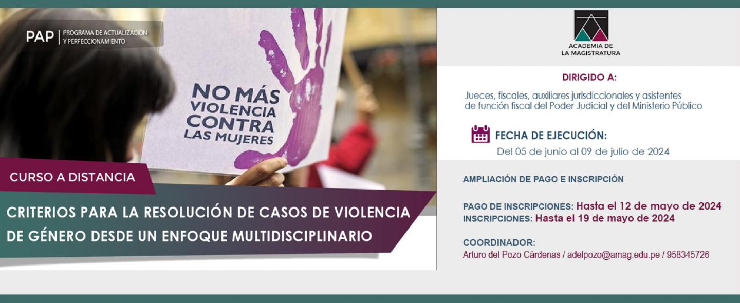 Curso a distancia: “Criterios para la resolución de casos de Violencia de Género desde un enfoque multidisciplinario”